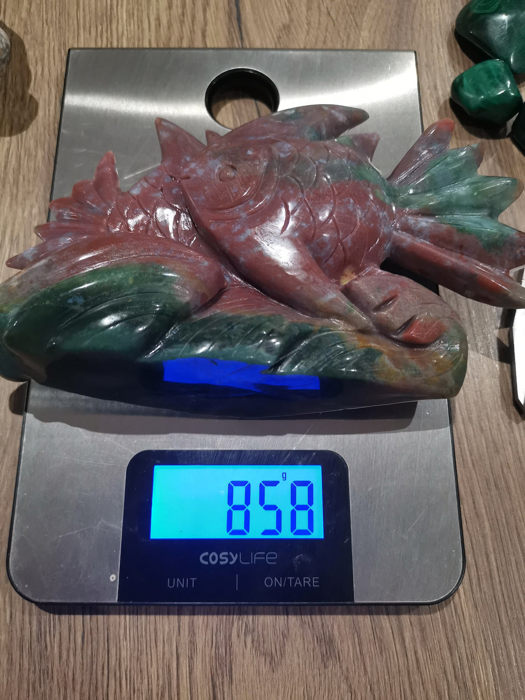 Oceaanjaspis, sculptuur van een vis in natuursteen