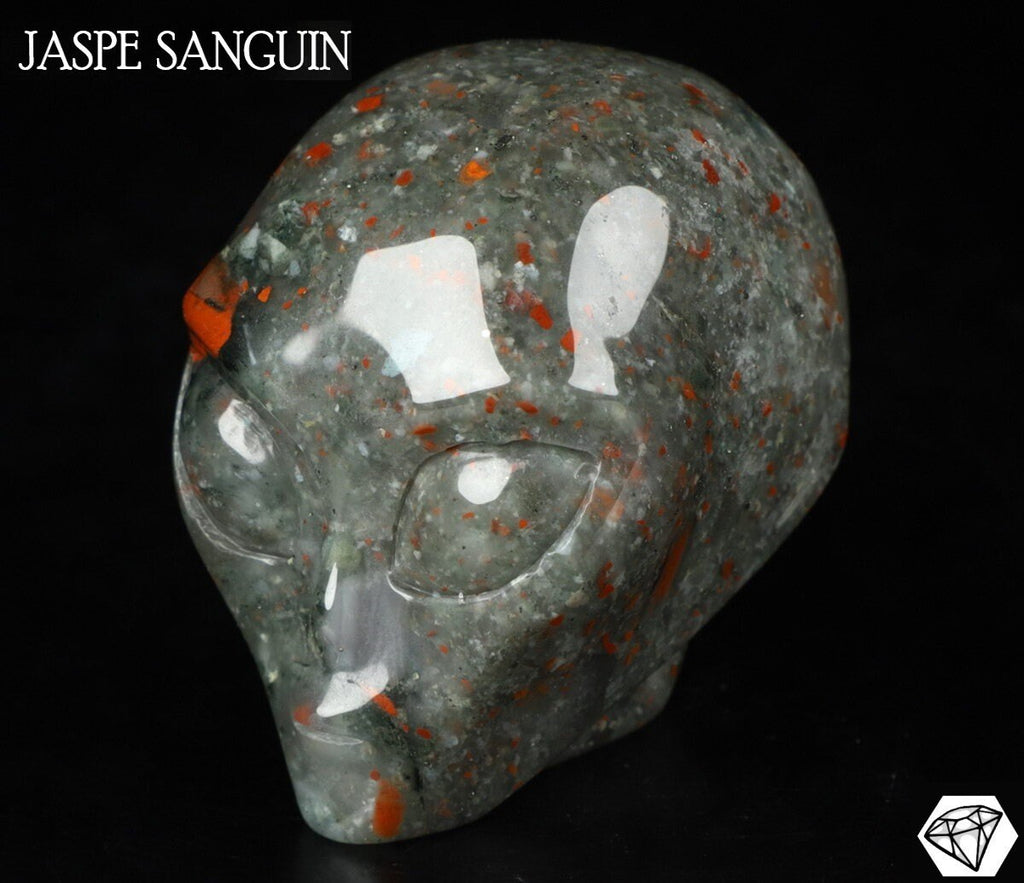 Alien-Schädel aus afrikanischem Blutjaspis, Kollektion / REIKI Skull, Cranio, Schädel, Craneo Crystal Skull