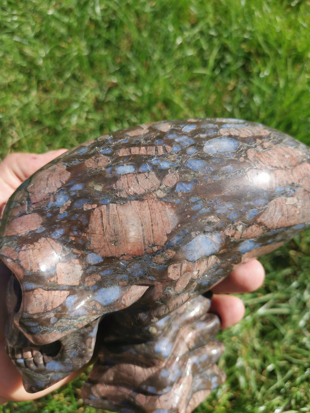 Opalenblauw; Que sera llanite, sculptuur van een langgerekt ALIEN-schedel / MAYA-reizigerschedel / lithotherapie / schedel; Cranio,