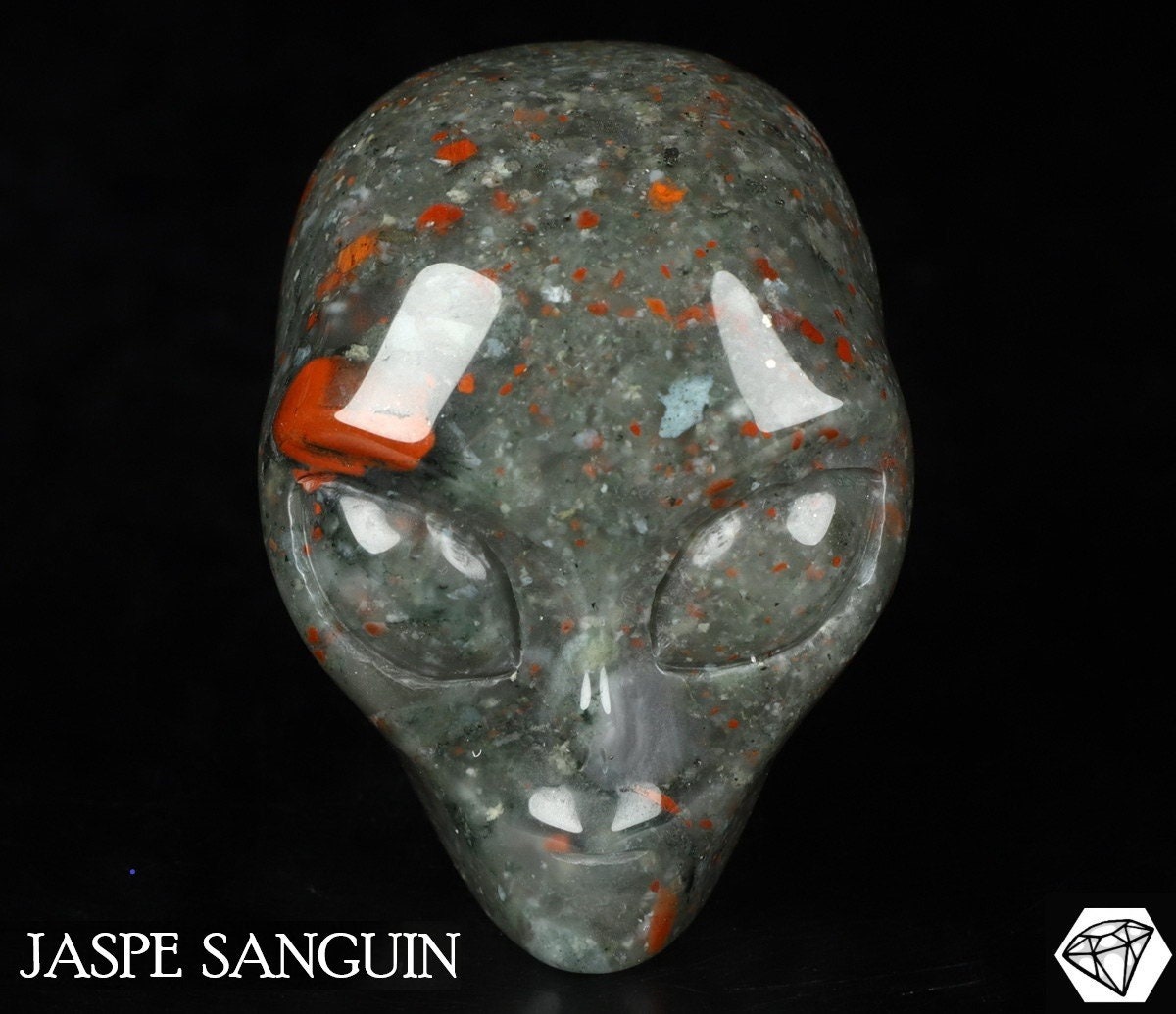 Crâne Alien cristal Jaspe Sanguin Africain  , collection / REIKI Skull , Cranio , SchÄdel , Craneo Crystal Skull