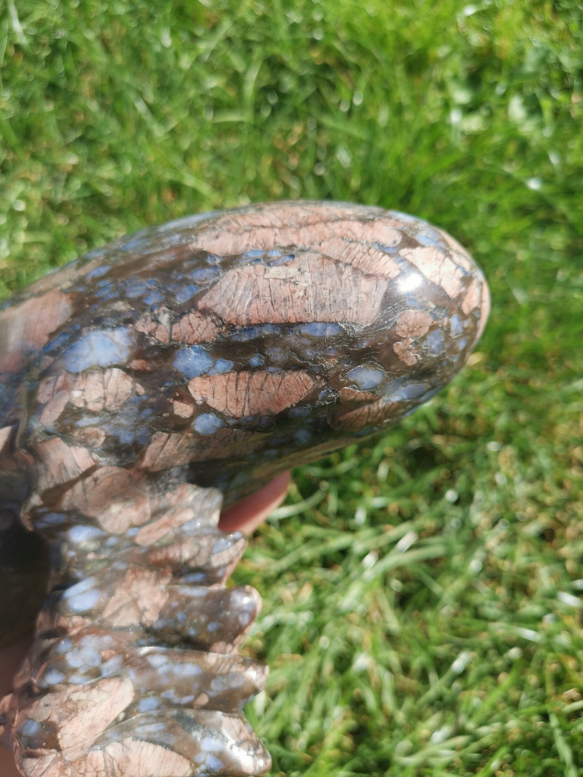 Opalenblauw; Que sera llanite, sculptuur van een langgerekt ALIEN-schedel / MAYA-reizigerschedel / lithotherapie / schedel; Cranio,