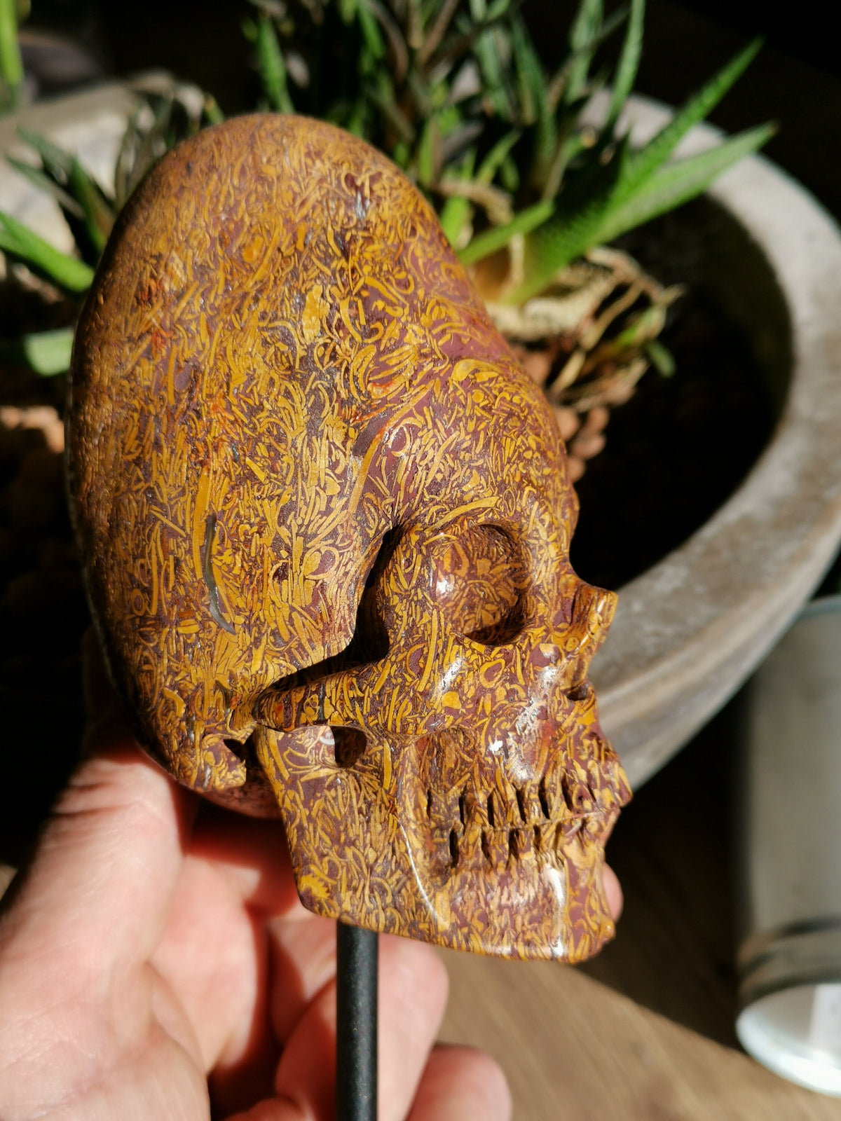 Jaspis Elefant -> Verlängerter Schädel Maya-Glaube und sein Sockel / Lithotherapie