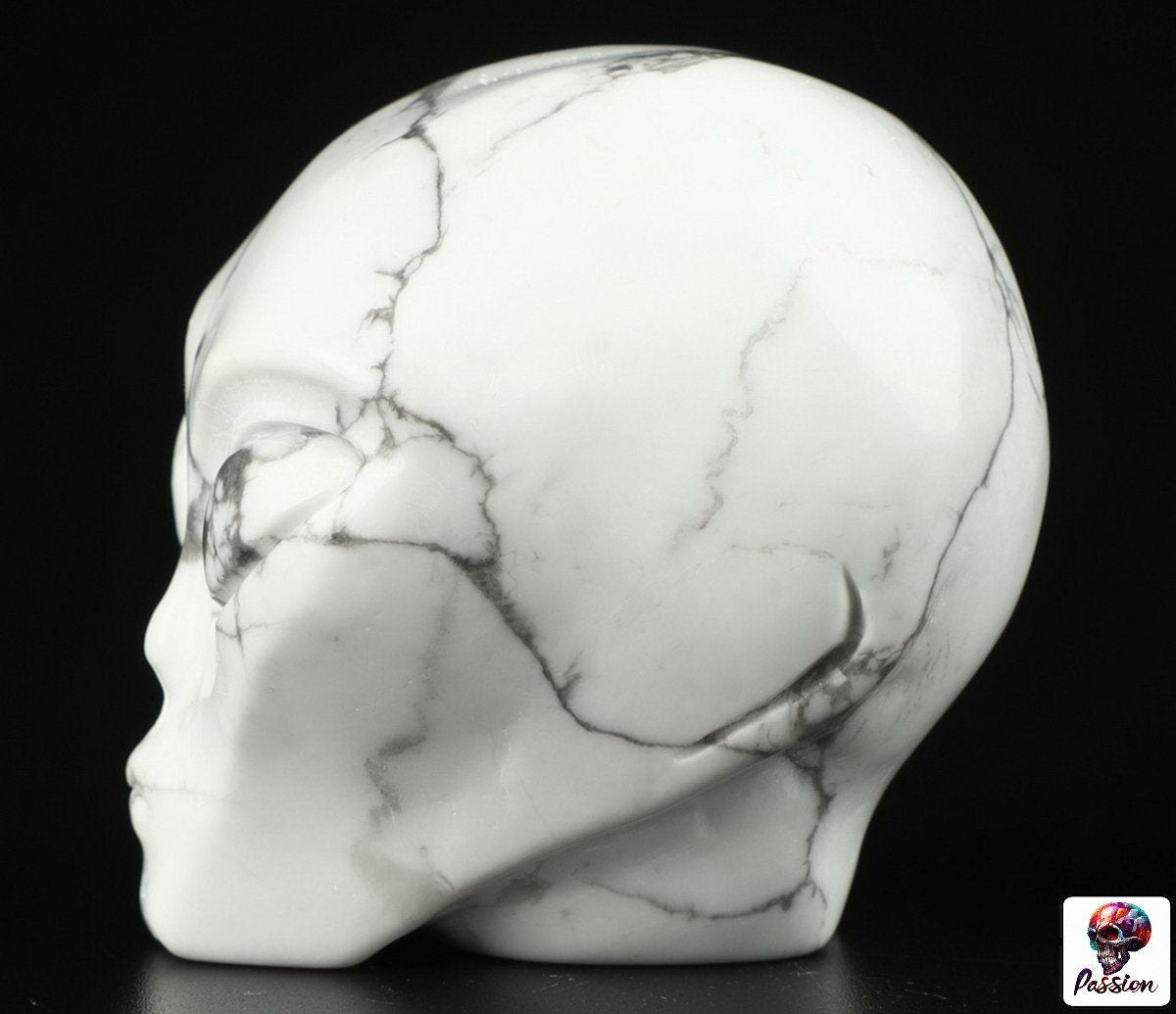 Howlite " turquesa blanca " ALIEN Roswell /Cráneo de piedra natural de colección / decoración Skull , Cráneo , SchÄdel , Cráneo