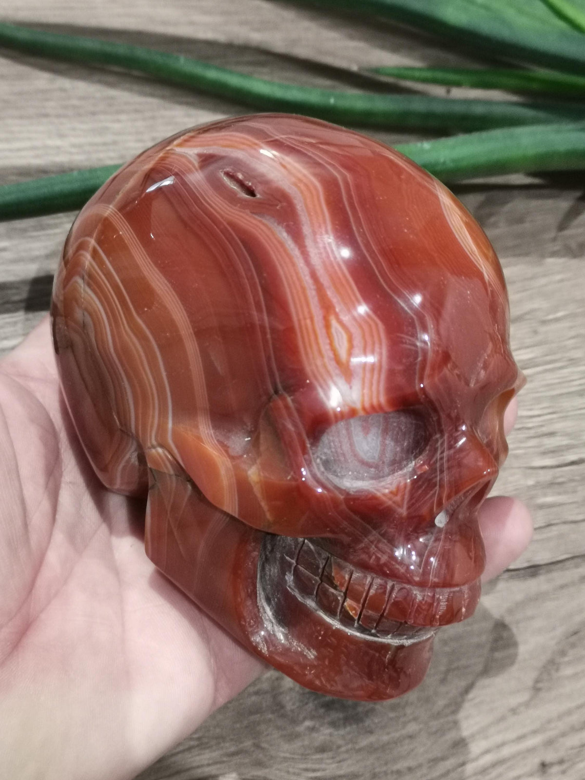 Carnelian Agate, Crystal Skull / 4 Inch Size , high quality / Lithotherapy / Cranio , SchÄdel , Cranio , Skull , reikin