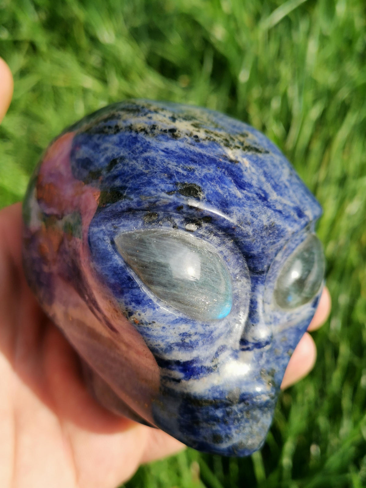 Sodalite ->  Scultura Testa extraterrestre , Tipo Roswell  / collezione / Litoterapia / Decorazione