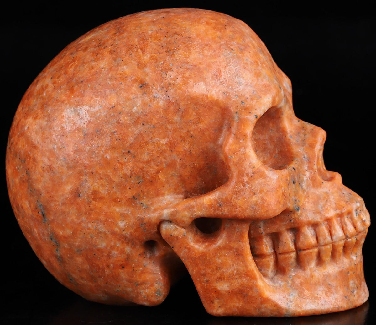 Calcite Orange / Sculpture en Crâne de pierre naturelle , couleur parfaite / Vanité / Memento Mori