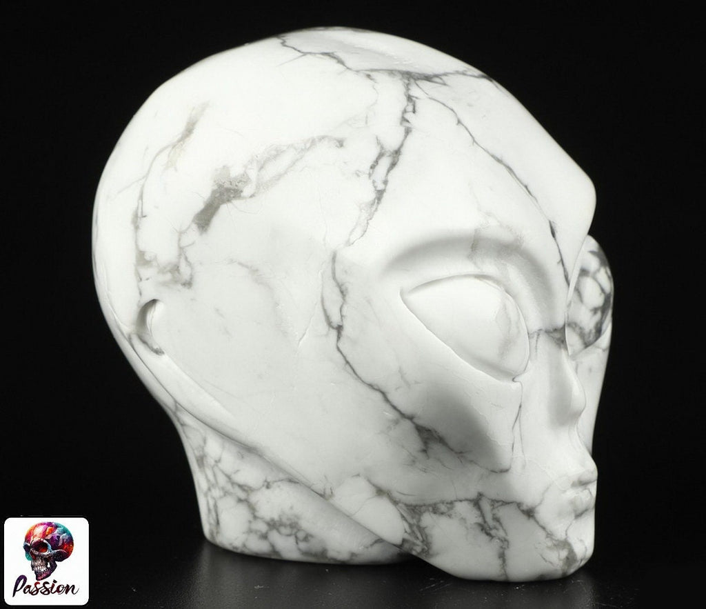 Howlite " turquesa blanca " ALIEN Roswell /Cráneo de piedra natural de colección / decoración Skull , Cráneo , SchÄdel , Cráneo