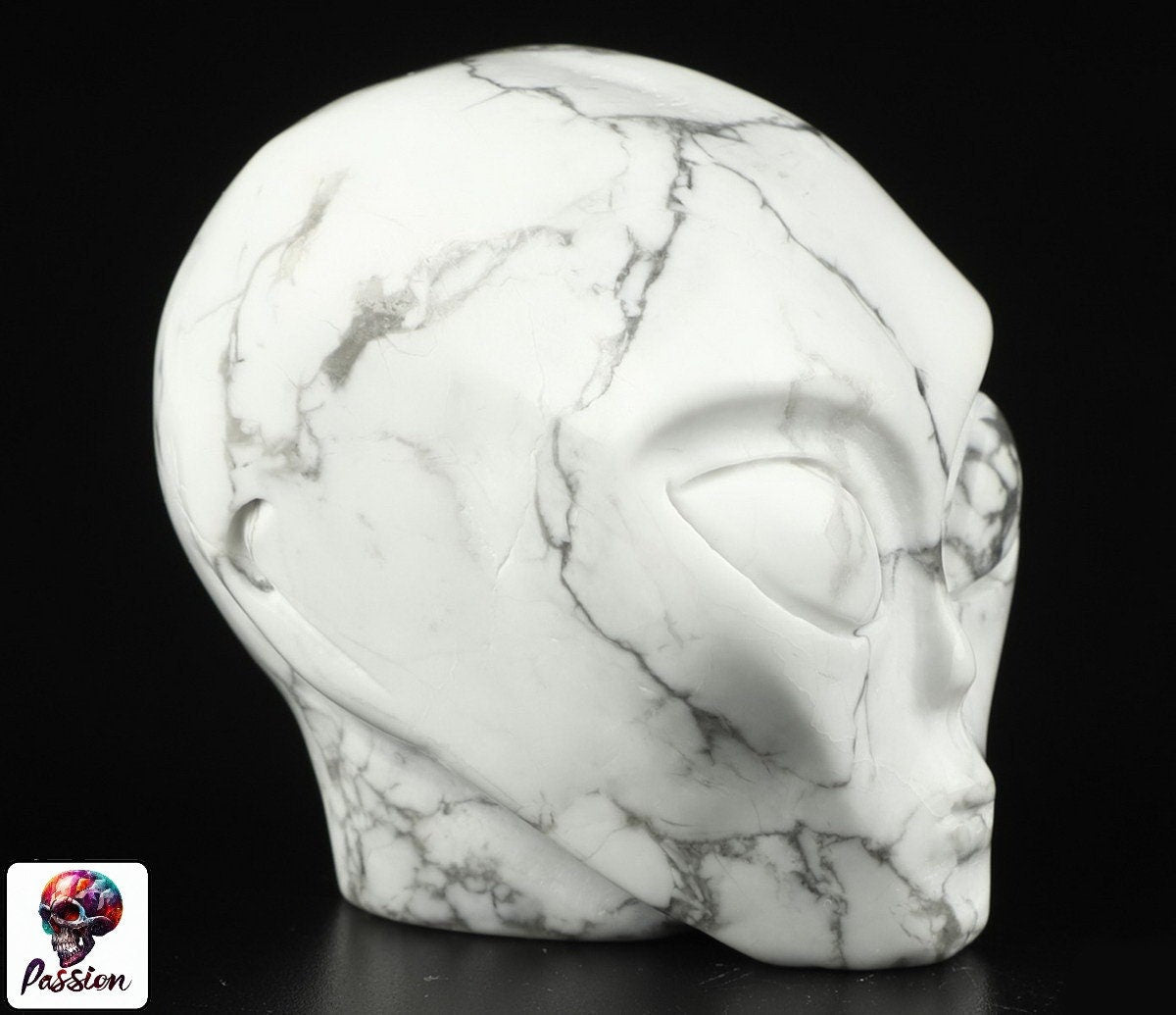 Howlite " turquesa blanca " ALIEN Roswell /Cráneo de piedra natural de colección / decoración Skull , Cráneo , SchÄdel , Cráneo