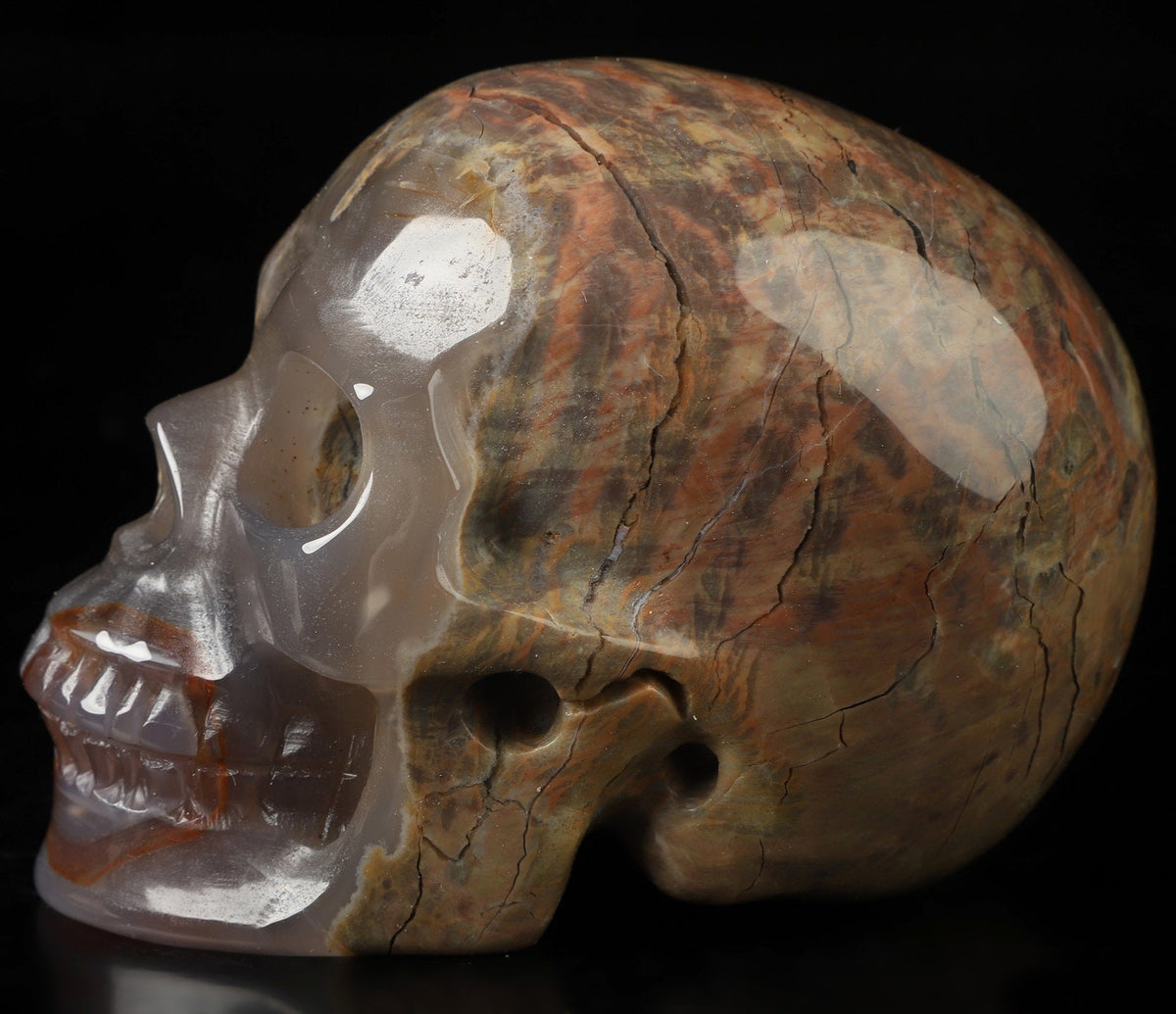 Agate known as Dinosaur Eggs, Natural Stone Skull Sculpture, Cabinet of Curiosities, Memento Mori, Vanity