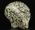 2" Jaspe Dalmatien ->  extra terrestre   Roswell /Crâne pierre naturelle de collection / décoration  Skull , Cranio , SchÄdel , Craneo