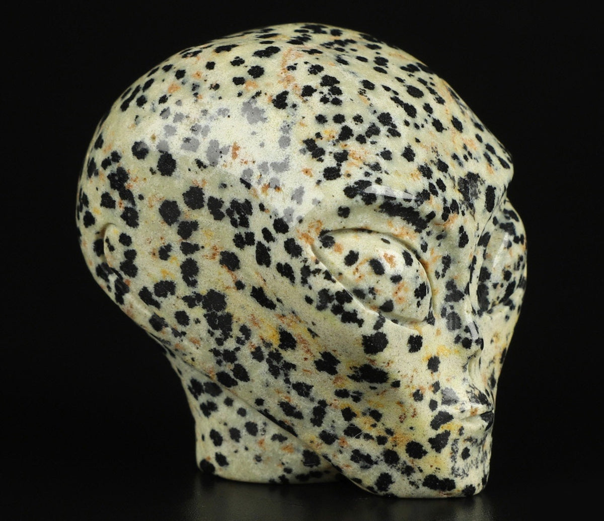 2" Jaspe Dalmatien ->  extra terrestre   Roswell /Crâne pierre naturelle de collection / décoration  Skull , Cranio , SchÄdel , Craneo