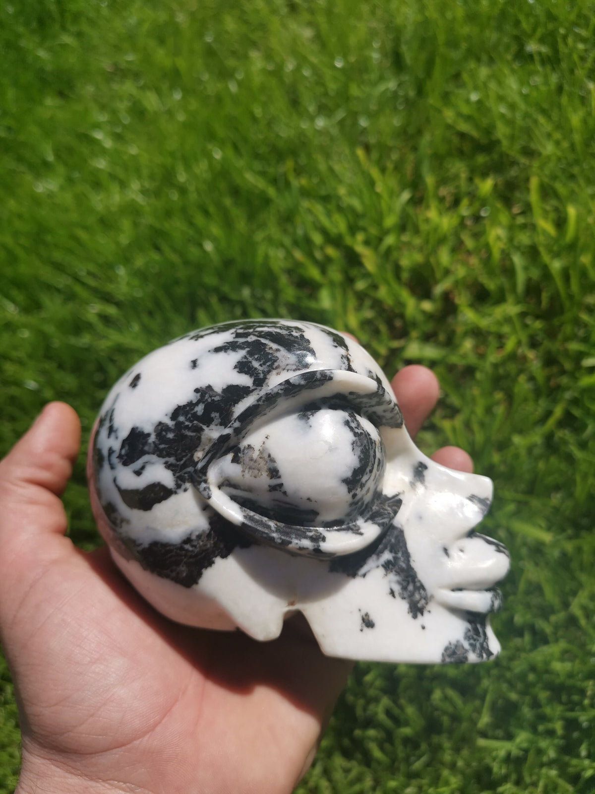 Jaspe ZEBRE  Sculpture Type Tete Africaine  de pierre naturelle  /  tète de mort / Cranio , SchÄdel , Craneo , Skull , reiki Crystal Skull