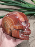 Carnelian Agate, Crystal Skull / 4 Inch Size , high quality / Lithotherapy / Cranio , SchÄdel , Cranio , Skull , reikin