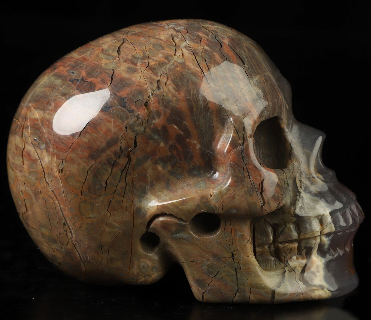 Agate known as Dinosaur Eggs, Natural Stone Skull Sculpture, Cabinet of Curiosities, Memento Mori, Vanity