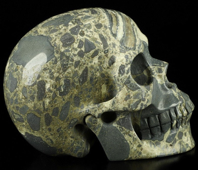 Skeletsteen Jaspeer Brecciatie uit Australië , Cranio , Schädels , Cranio , Skull , reikin Crystal Skull