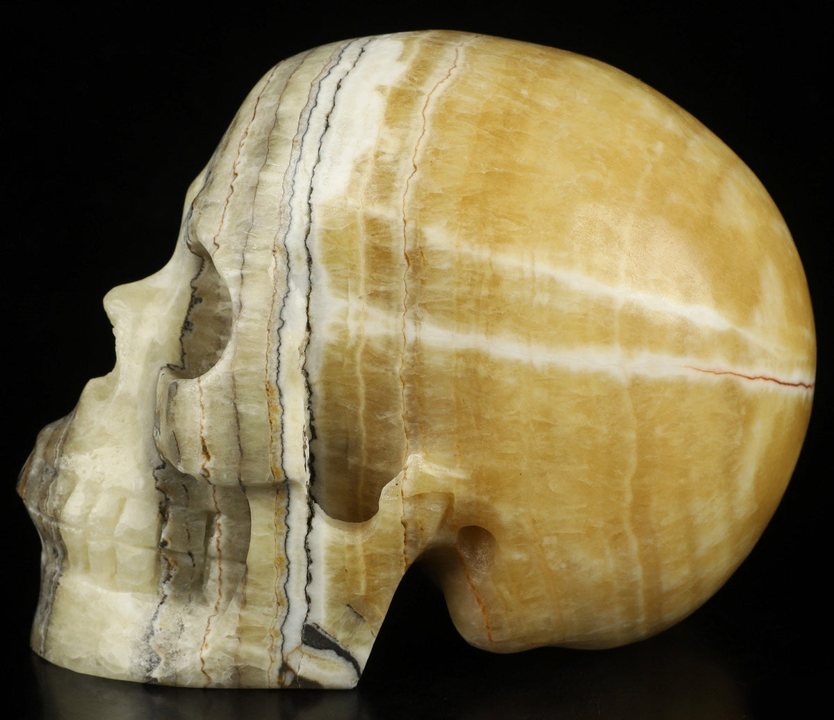 Crâne pierre naturelle JASPE de l'est /  Eastern jasper /  Calcite Rubané   , Top qualité , Cranio , SchÄdel , SKULL