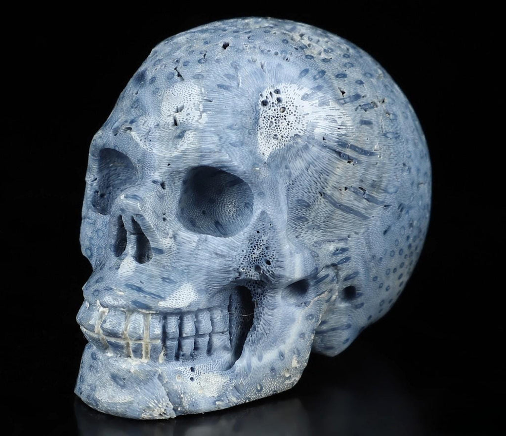 Zeerschaars fossiel blauw sponsje, stenen schedelsculptuur