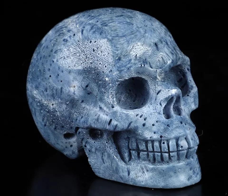 2" Blue Sponge , Skull Sculpture , very rare fossil/ Meditation / Cranio