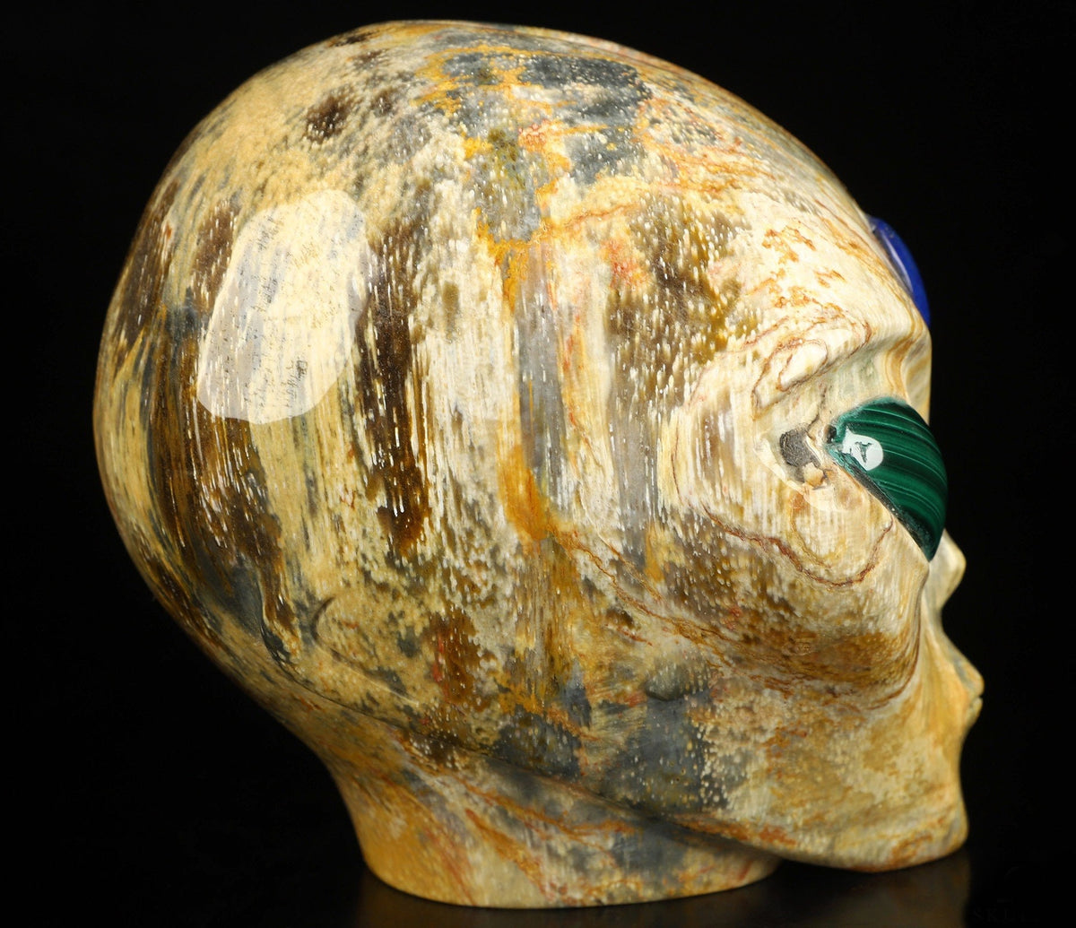 4.2" Crâne Alien pouce , Bois pétrifié / Extra terrestre Type Roswell , Skull , reikin , Invader