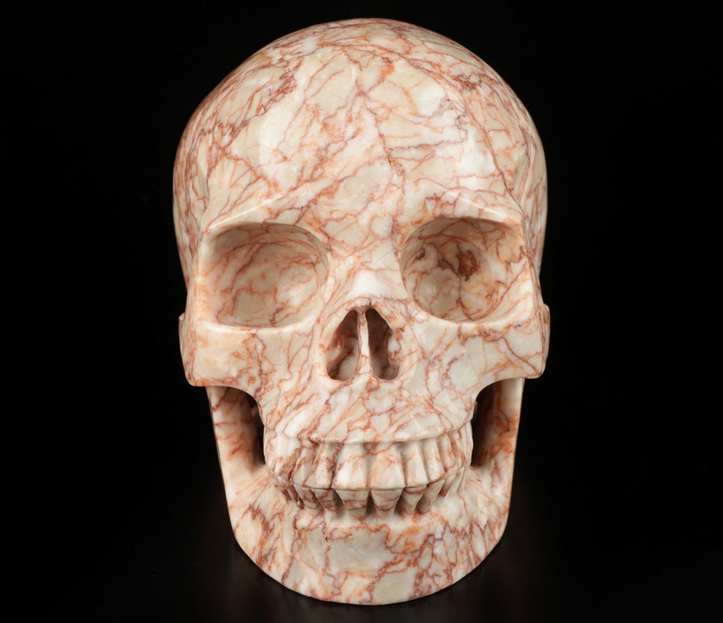 Jaspe Network nervuré rouge ,Crâne de pierre naturelle XL  / lithothérapie / méditation / Memento mori