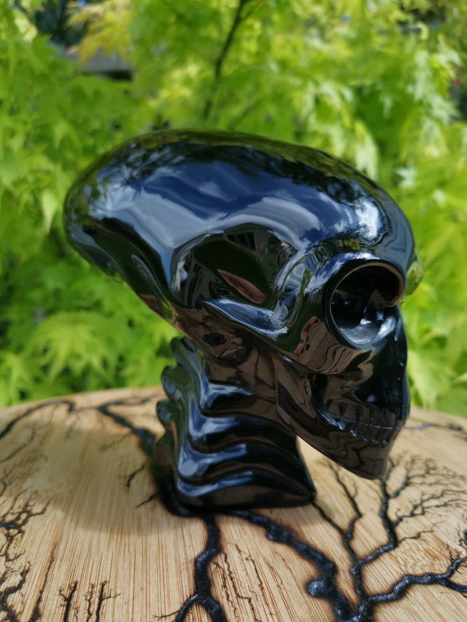 Obsidian SCHWARZ ,6,5 Zoll Skulptur Alien-Schädel Liegend / Maya-Reiseschädel / Lithotherapie / Schädel ; Cranio , Schädel Kristallschädel