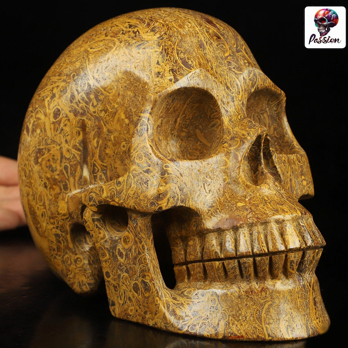 Jaspe elefante, Escultura de Crânio Grande de 2,5 KG, Pedra natural / Vaidade / Memento mori