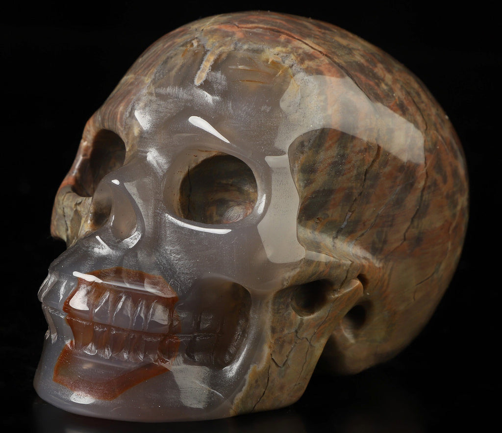 Agrat kallad Dinosaurägg, skulptur av dödskalle i natursten, kuriositetskabinett, memento mori, förgänglighet