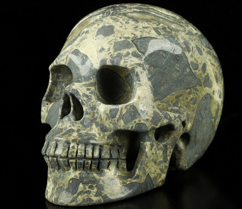 Crâne pierre Jaspe Bréchique D'Australie  , sculpture Vanité , Cabinet de curiosité