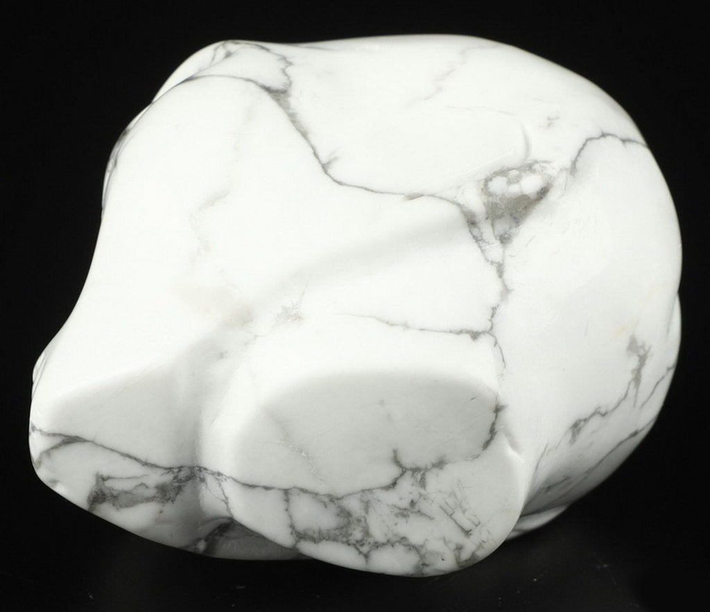 Howlite " turquesa blanca " ALIEN Roswell /Cráneo de piedra natural de colección / decoración Skull , Cráneo , SchÄdel , Cráneo
