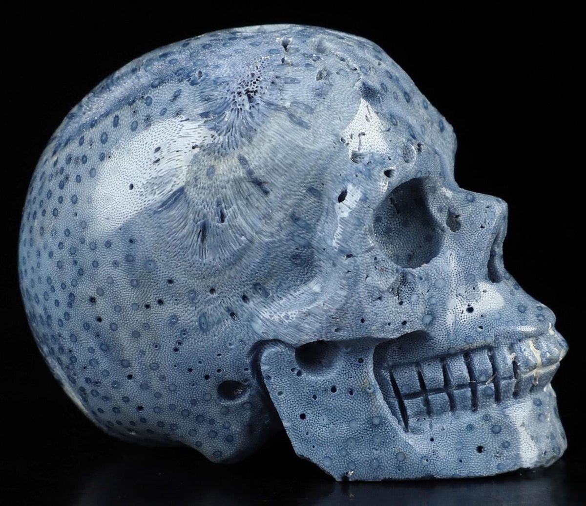 Eponge Bleu fossile très rare , Sculpture Crâne de pierre