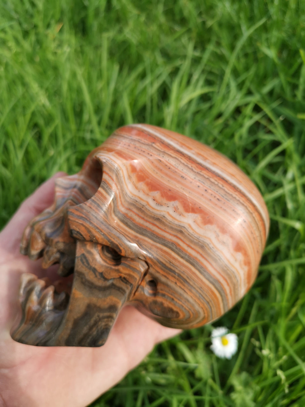 Red Veined Wood-Type Calcite / Skull in Fury / collectible natural stone, Skull collector Crystal Skull