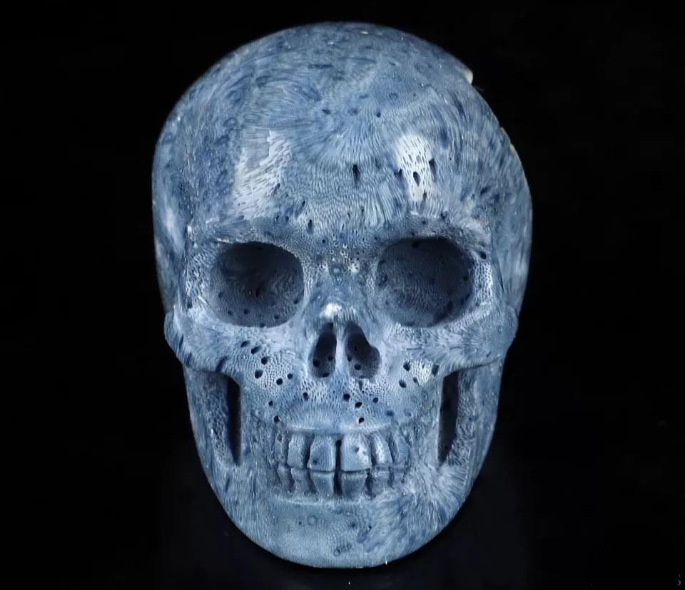 Spugna blu da 2", scultura di un teschio, fossile rarissimo / Meditazione / Cranio