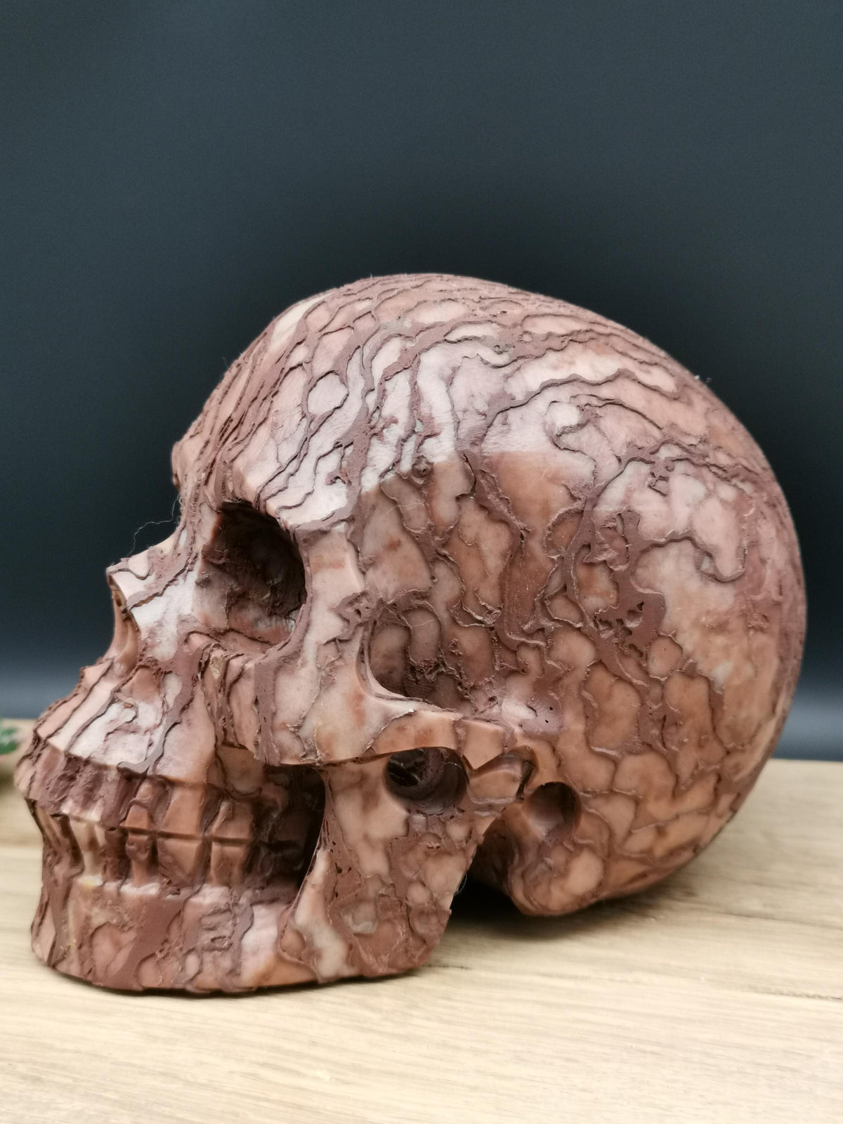 Jaspe 3D Art  / Crâne de pierre naturelle , Memento mori / Cabinet de curiosité / lithothérapie / méditation