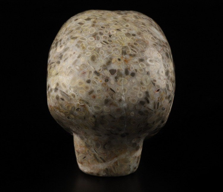 Teschio alieno in pietra con fossili di crinoidi · Pezzo unico · 50 mm