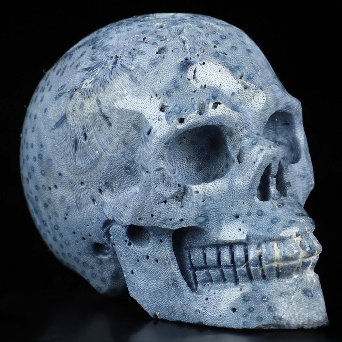 Eponge Bleu fossile très rare , Sculpture Crâne de pierre