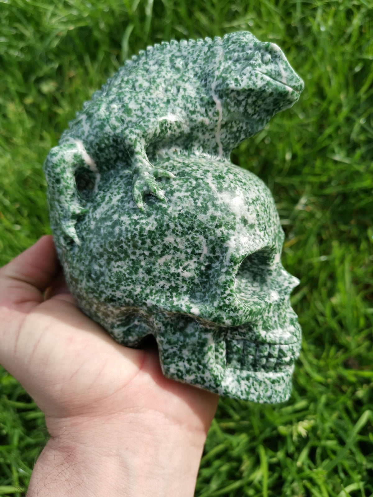 Agate Bicolore / Hamine   , Crâne de pierre naturelle , Crâne de voyance , vanité