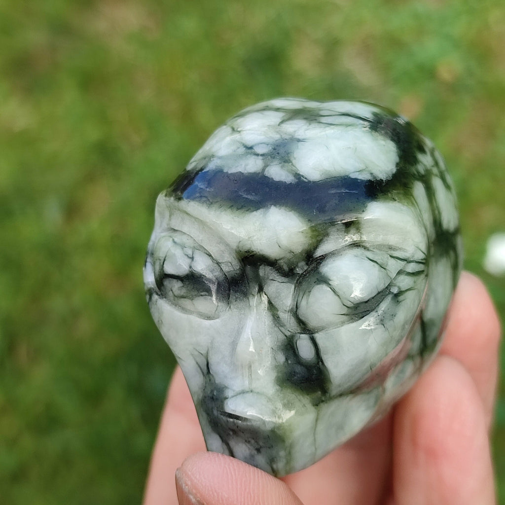 Jaspis Picasso Chinoise / Najeźdźca z kosmosu / Kolekcjonerska czaszka z naturalnego kamienia / dekoracja Skull, Cranio, SchÄdel, Craneo Crystal Skull