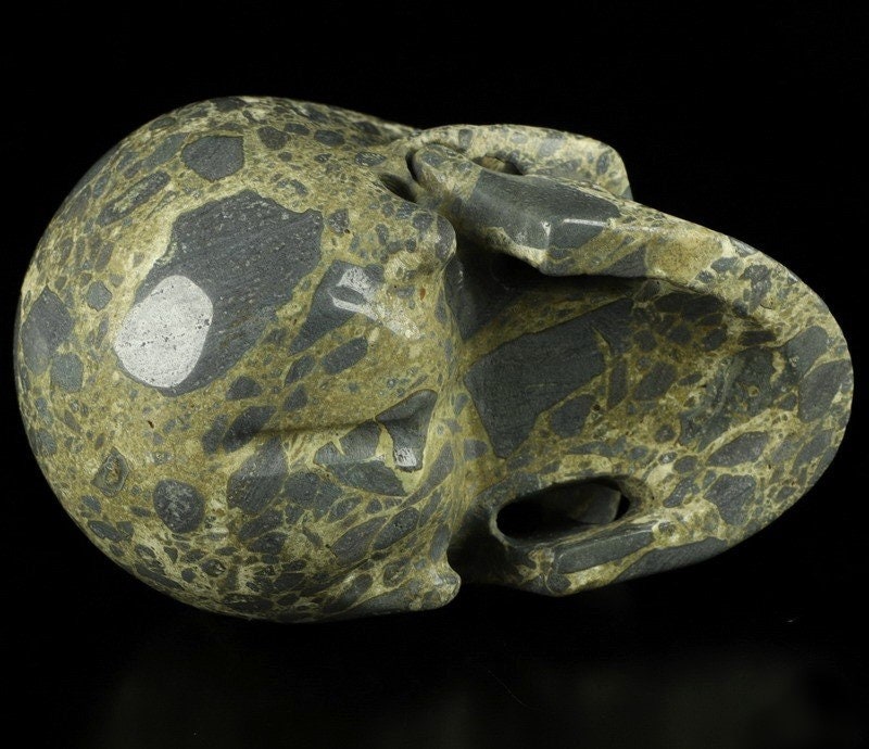 Skeletsteen Jaspeer Brecciatie uit Australië , Cranio , Schädels , Cranio , Skull , reikin Crystal Skull