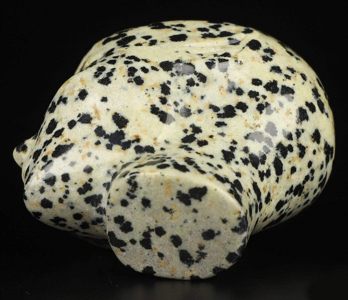2" Elf / Fee / Avatar -> natuurlijke steen Dalmatian Jasper / Dalmatian Jasper , Skull Compagnion