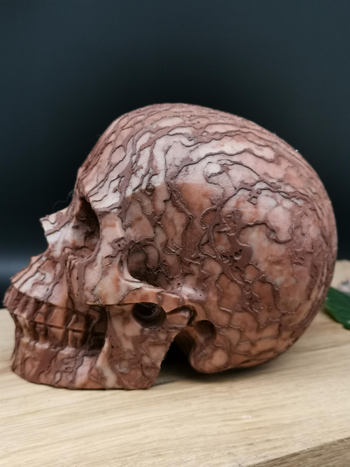 Jaspis 3D Art / Schedel van natuursteen, Memento mori / Kabinet van rariteiten / lithotherapie / meditatie