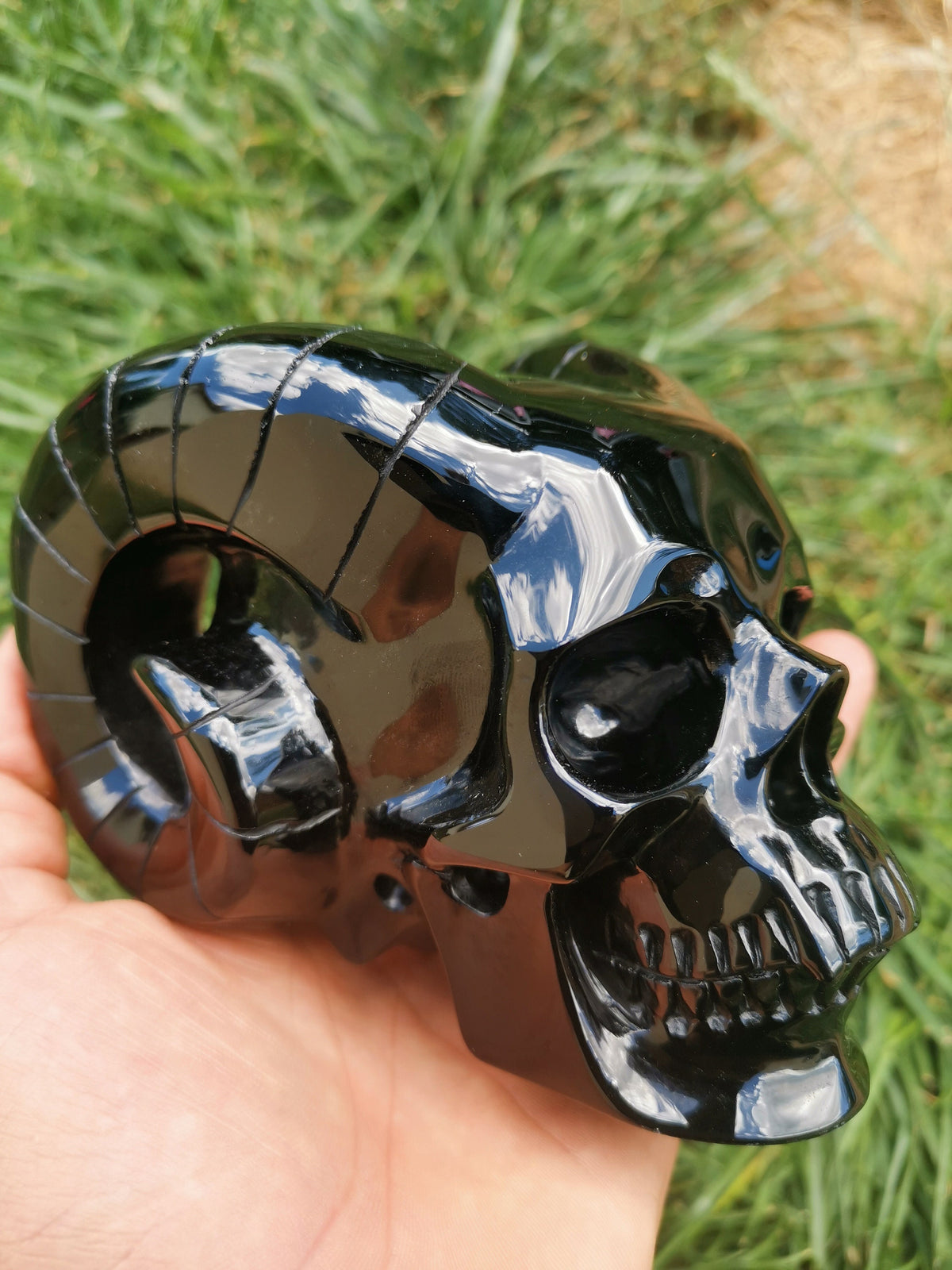 Obsidienne NOIR , Crâne avec corne de Bouc en pierre naturelle de collection / Magie noire