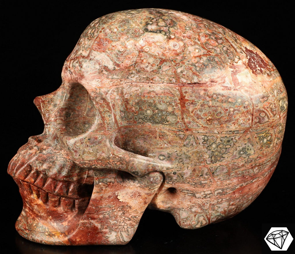 Jaspe Leopardo de México  /  Cráneo XXL  Piedra natural  / calavera / Memento mori