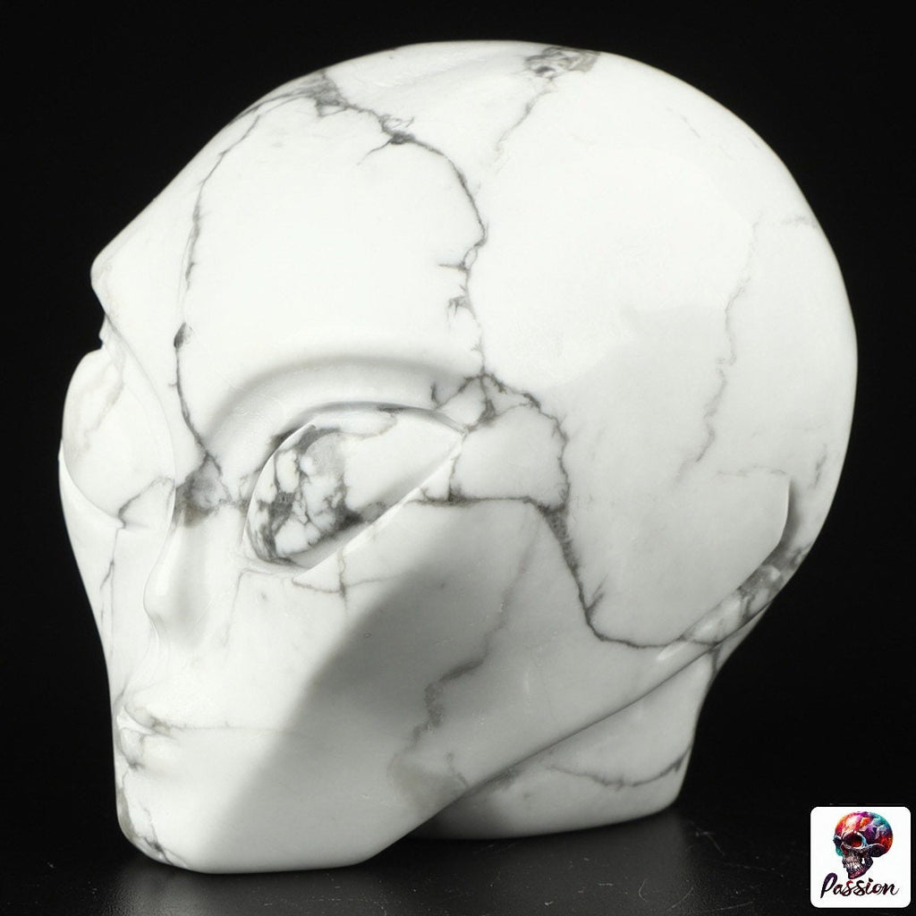 Howlite " turquesa blanca " ALIEN Roswell /Cráneo de piedra natural de colección / decoración Skull , Cráneo , SchÄdel , Cráneo
