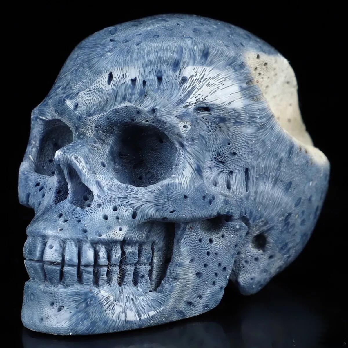 2" Blue Sponge , Skull Sculpture , very rare fossil/ Meditation / Cranio