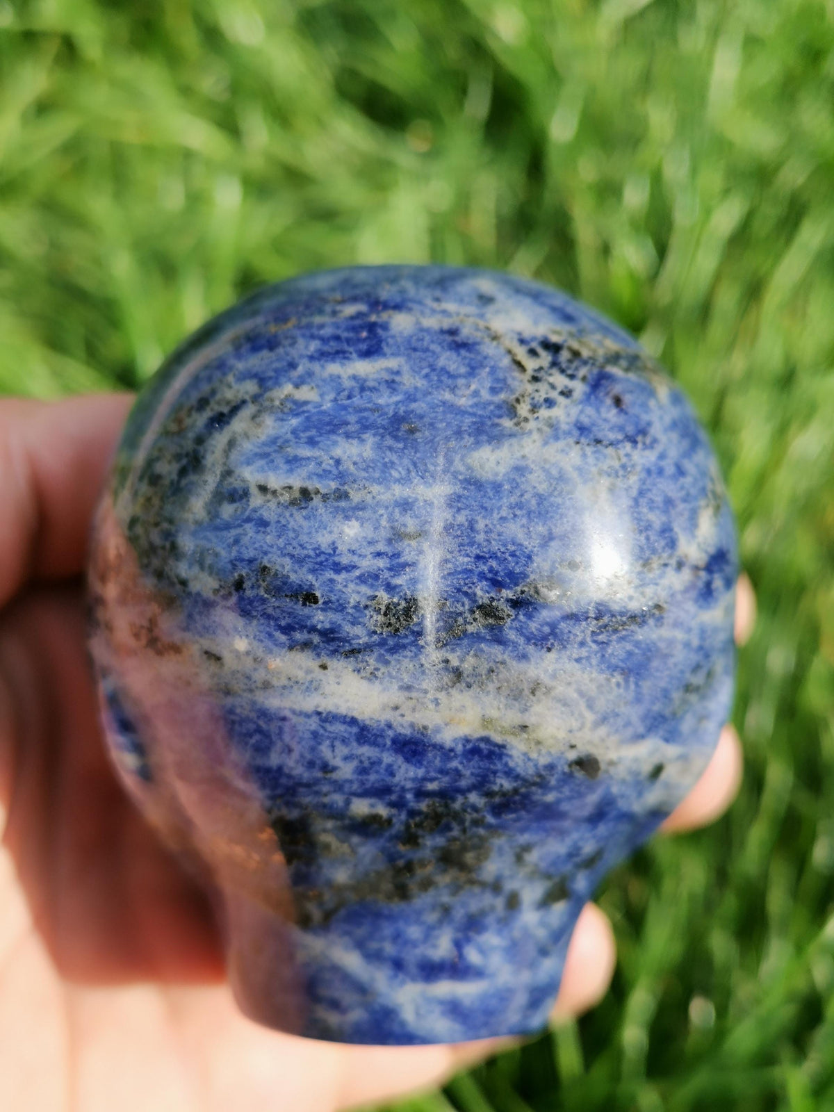Sodalite ->  Scultura Testa extraterrestre , Tipo Roswell  / collezione / Litoterapia / Decorazione
