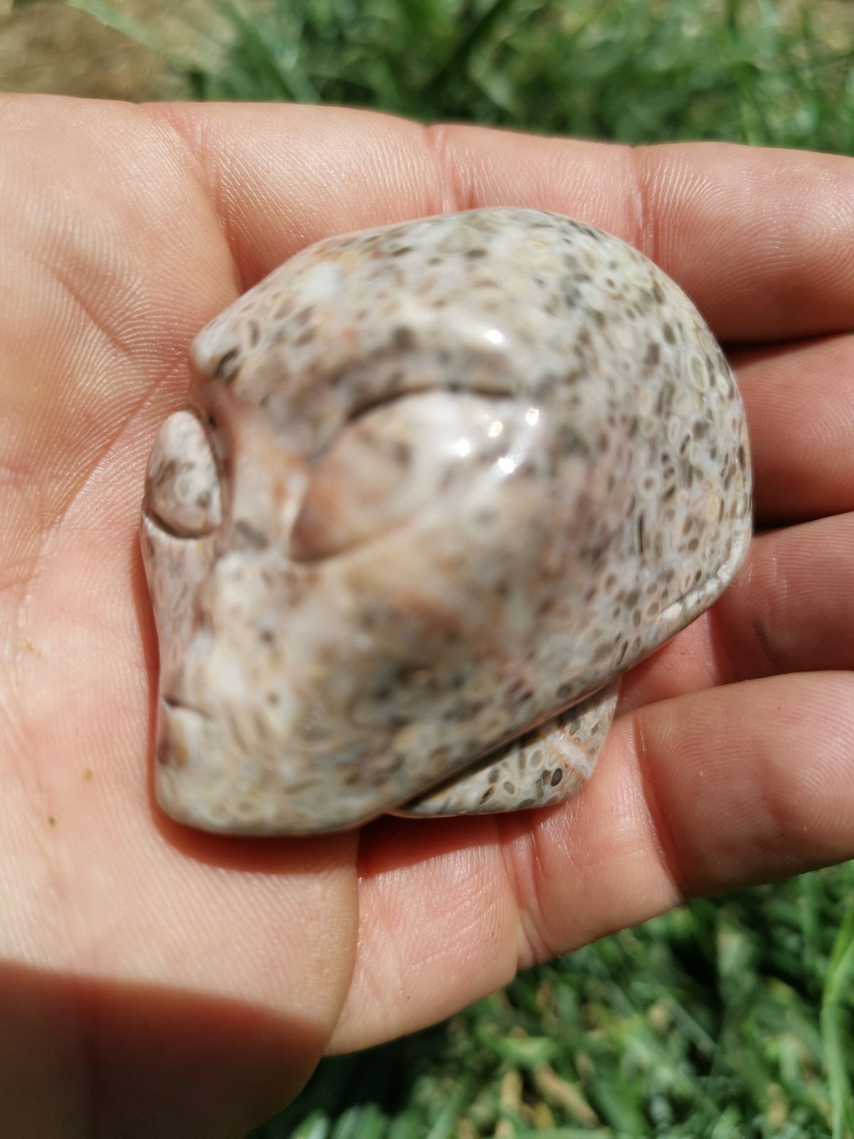 Crâne alien en pierre à fossiles de crinoïdes · Pièce unique · 50 mm