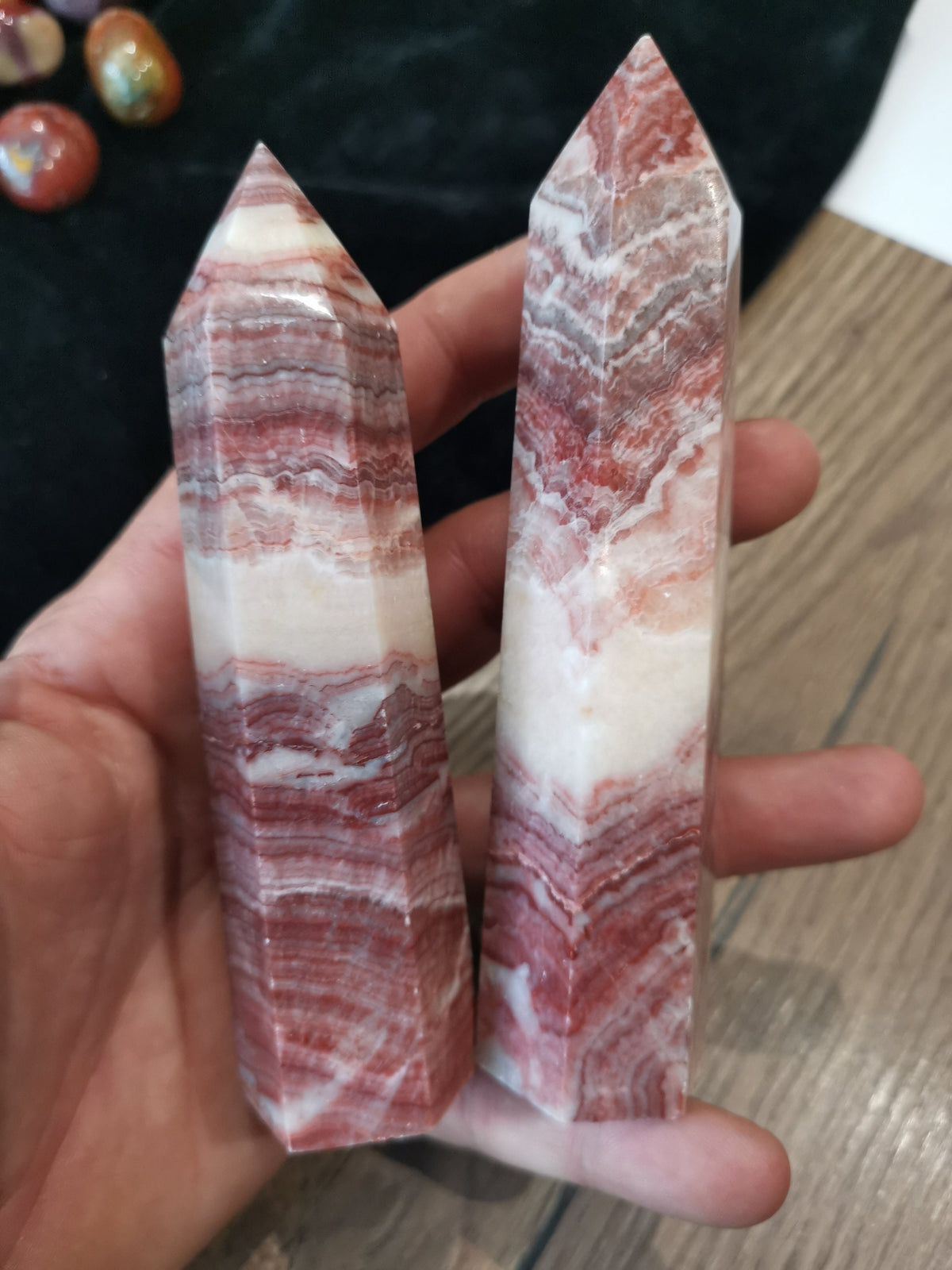 Mongolian boar tusk – Collectible obelisk trophy