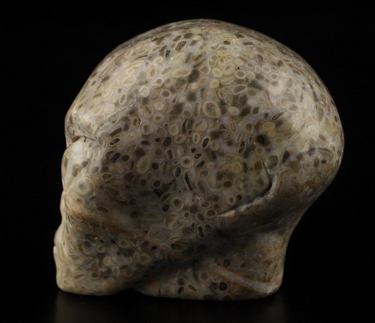 Teschio alieno in pietra con fossili di crinoidi · Pezzo unico · 50 mm