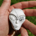 Howlite " turquesa blanca " ALIEN Roswell /Cráneo de piedra natural de colección / decoración Skull , Cráneo , SchÄdel , Cráneo