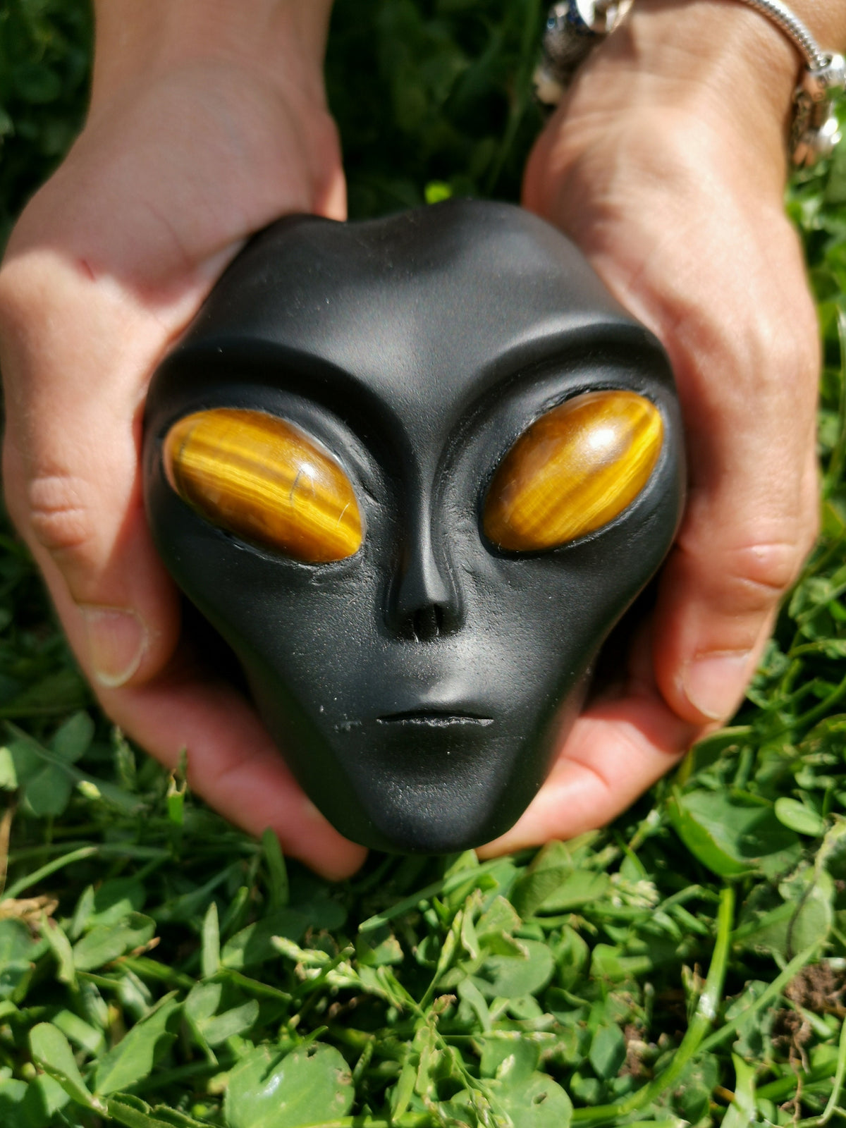 Teschio alieno di Roswell in ossidiana nera opaca e occhio di tigre · Pietra naturale